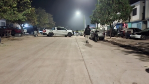 Gatillero asesina a joven cuando beb&iacute;a cerveza en el fraccionamiento San Ferm&iacute;n
