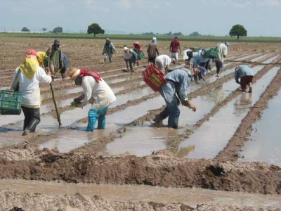 Garantizado el seguro catastr&oacute;fico para productores de temporal: SAyG