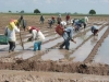 Garantizado el seguro catastr&oacute;fico para productores de temporal: SAyG