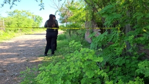 RESUMEN: 4 personas asesinadas, 7 'levantadas' y 2 autos robados en Sinaloa, el saldo rojo del 20 Julio 2025