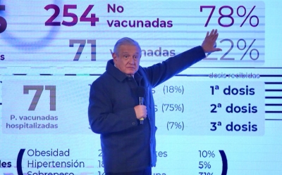 AMLO dice que ya inici&oacute; investigaci&oacute;n por asesinato de periodista Lourdes Maldonado