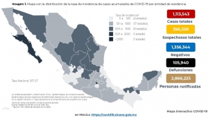 Al 30 de noviembre de 2020 hay 1,113,543 casos confirmados 