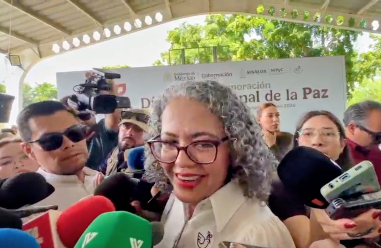 Presupuesto extraordinario para seguridad: del C4 al C5: Gobernadora  interina Graciela Dom&iacute;nguez