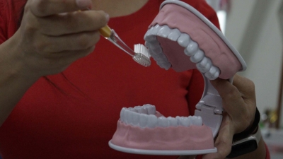 Elemental tener un cepillado adecuado de nuestros dientes para prevenir enfermedades