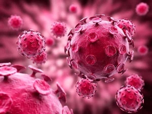 El virus del papiloma humano sigue siendo una de las principales causas del c&aacute;ncer c&eacute;rvico uterino