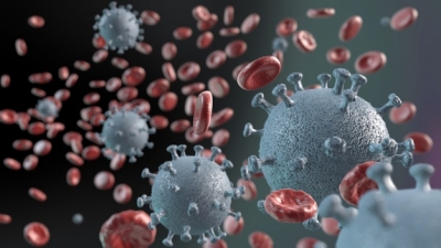 Estudio de EU revela que la luz solar podr&iacute;a matar r&aacute;pidamente al coronavirus