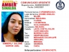 Desaparece quincea&ntilde;era de Ahome