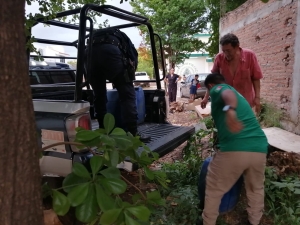 Hayan bidones abandonados, de capacidad de 40 litros con presuntos qu&iacute;micos en la colonia Vicente Guerrero