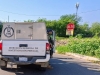 Un cocodrilo mat&oacute; a un adulto mayor en el municipio de Eldorado