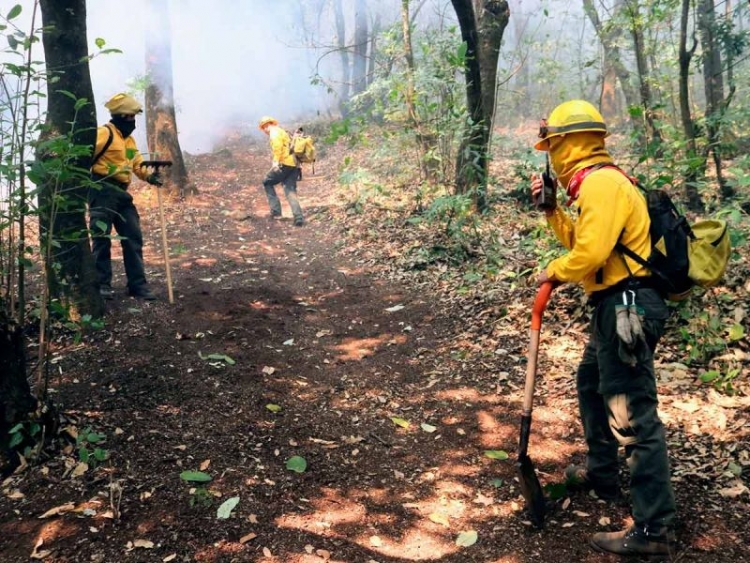 Arde M&eacute;xico: reportan 33 incendios forestales activos