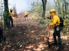 Arde M&eacute;xico: reportan 33 incendios forestales activos